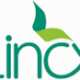 lincx